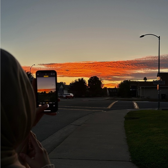 Meet your Posher, Noor - Picture 1 of 1